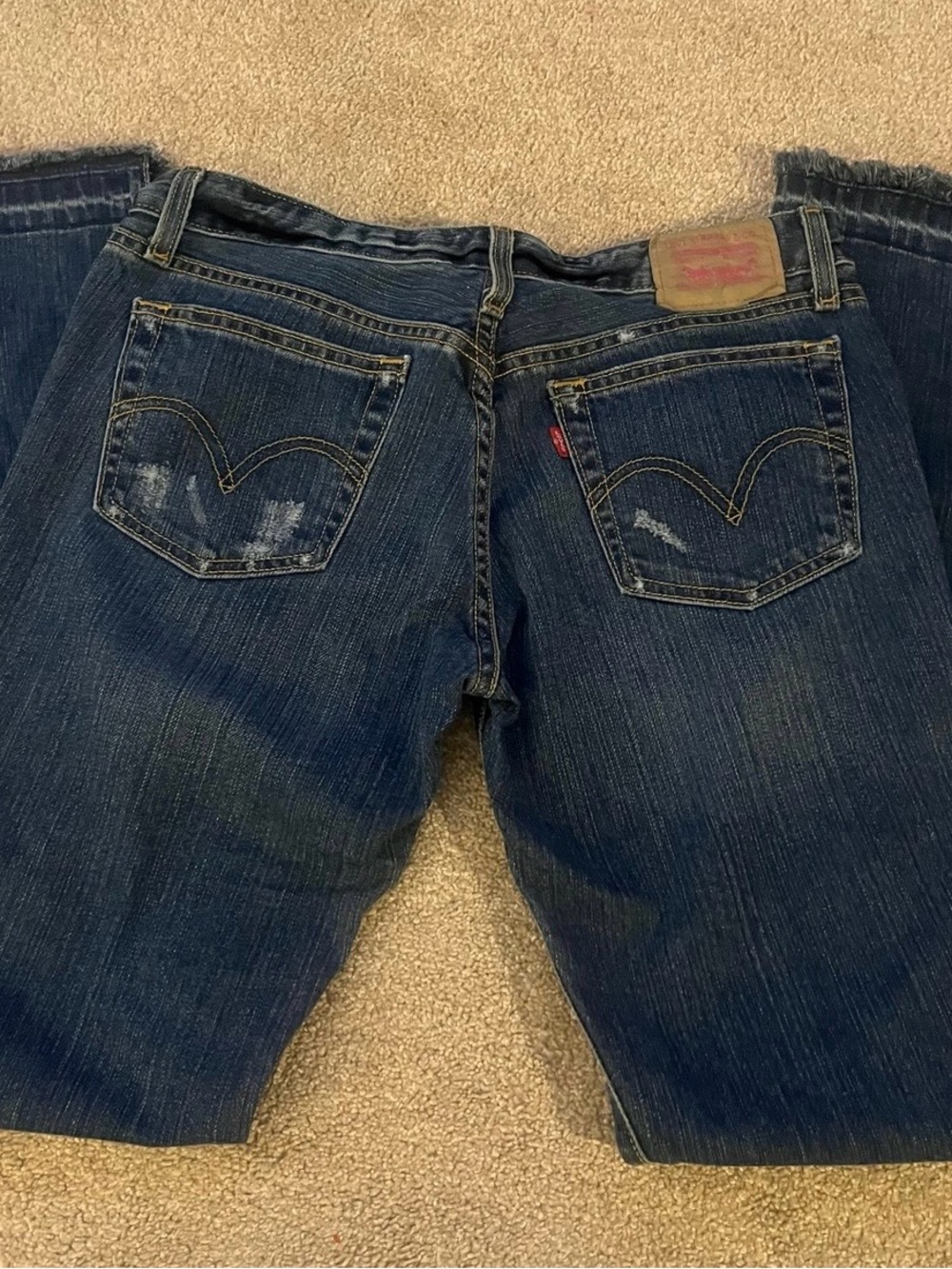 Vintage Y2K Levi’s Limited Edition Distressed Low Rise Bootcut Jeans 9M